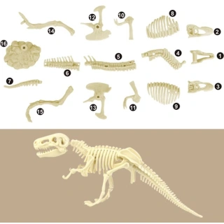Разкопай и сглоби скелет на Тиранозавър | SONNE1370 - 3