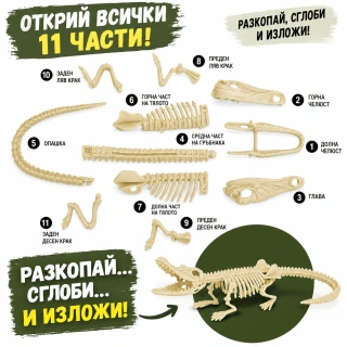 Археологически комплект за разкопки „Скелет на крокодил“ – открий, сглоби и изследвай | SONNE1428 - 3