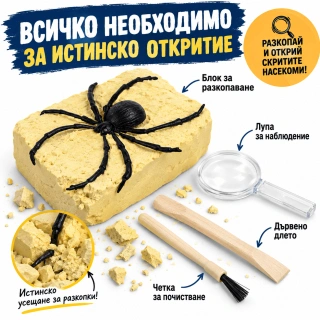 Детски STEM комплект за разкопки Real Bug | SONNE1432 - 3