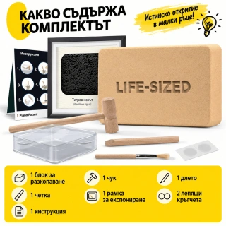 Комплект за разкопки на фосили на хищници – 2 фосила на тигър и крокодил в реален размер | SONNE1433 - 4