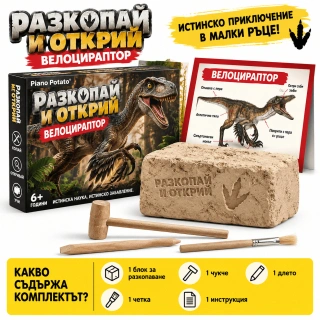 Детски комплект за копаене на динозавърски фосили | SONNE1435 - 6