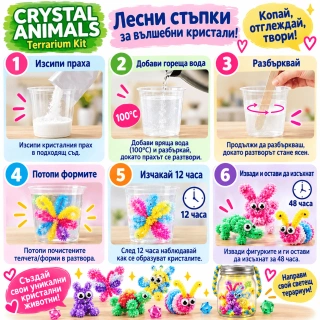 Детски STEM комплект Crystal Animals Terrarium Kit – отгледай 12 кристални животни | SONNE1451 - 3