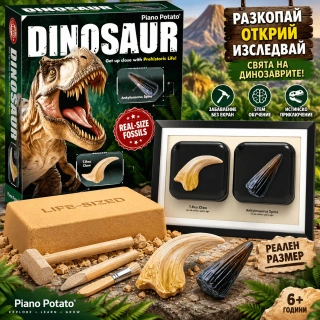 Комплект за разкопки на фосили на динозавър – нокът на тиранозавър рекс в реален размер | SONNE1460 - 5