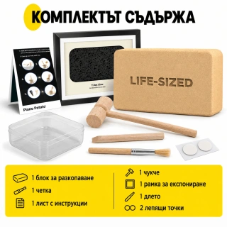Комплект за разкопки на фосили на динозавър – нокът на тиранозавър рекс в реален размер | SONNE1460 - 8