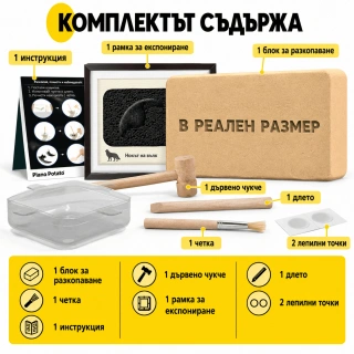 Комплект за разкопки на фосили на зверове – Разкопайте 2 фосила от нокът на орел и вълк в реален размер | SONNE1463 - 7
