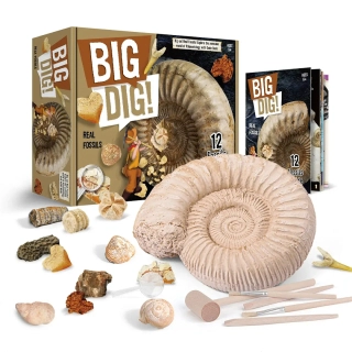 Комплект разкопки! Истински вкаменелости за деца | SONNE1237 - 1