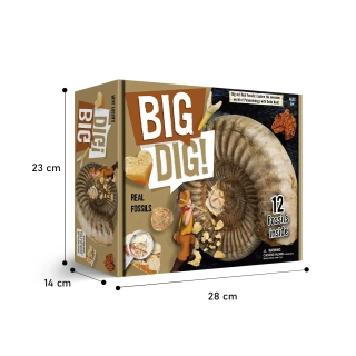 Комплект разкопки! Истински вкаменелости за деца | SONNE1237 - 5