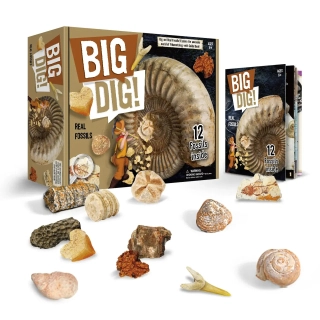 Комплект разкопки! Истински вкаменелости за деца | SONNE1237 - 6