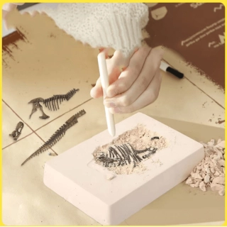 Разкопай и изследвай! Динозавър Стегозавър | SONNE1251 - 4