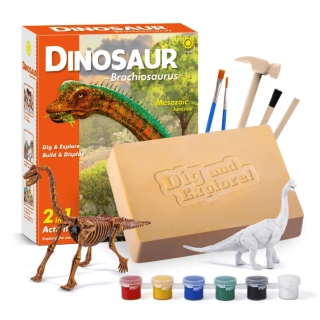 Разкопай и изследвай! Динозавър Брахиозавър | SONNE1252 - 1