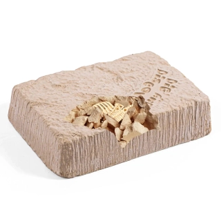 Комплект за разкопки на Тиранозавър | SONNE1258 - 4