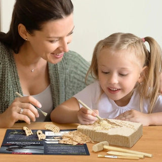 Комплект за разкопки на Тиранозавър | SONNE1258 - 6