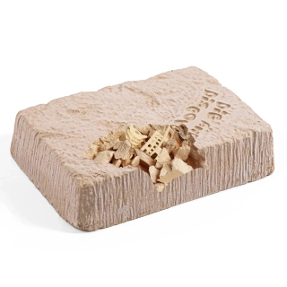 Комплект за разкопки на Трицератопс | SONNE1259 - 4