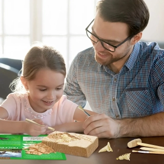 Комплект за разкопки на Трицератопс | SONNE1259 - 6