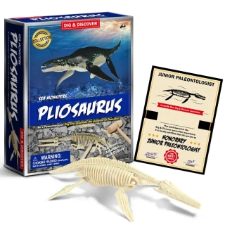 Комплект за разкопки на Ихтиозавър | SONNE1261 - 1