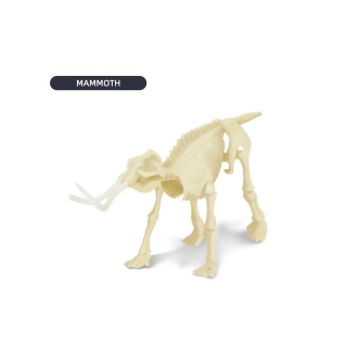 Комплект за разкопки на скелет на Мамут | SONNE1262 - 3