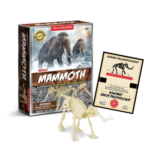 Комплект за разкопки на скелет на Мамут | SONNE1262 - 6