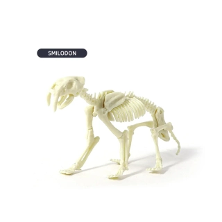 Комплект за разкопки на Саблезъб тигър | SONNE1263 - 3