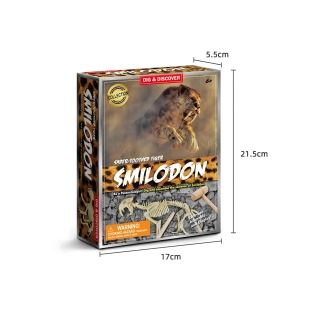 Комплект за разкопки на Саблезъб тигър | SONNE1263 - 5