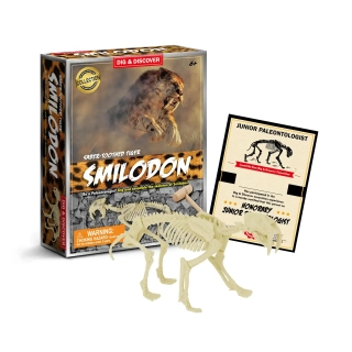 Комплект за разкопки на Саблезъб тигър | SONNE1263 - 6