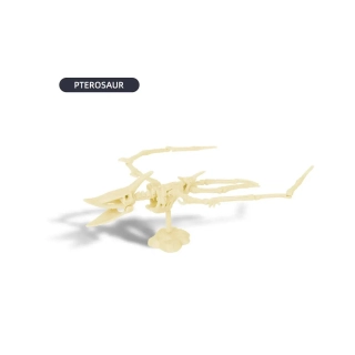 Комплект за разкопки на динозавърски скелети Птерозавър | SONNE1265 - 3