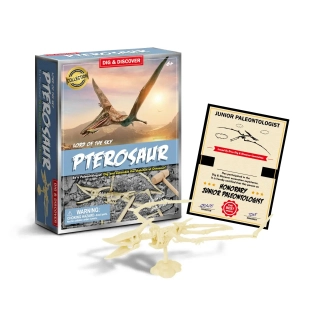 Комплект за разкопки на динозавърски скелети Птерозавър | SONNE1265 - 6